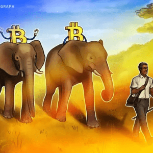 Zimbabwe ako ďalšia krajina ktorá prijme Bitcoin