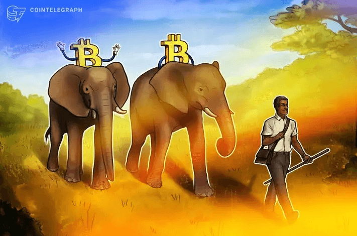 Zimbabwe ako ďalšia krajina ktorá prijme Bitcoin?