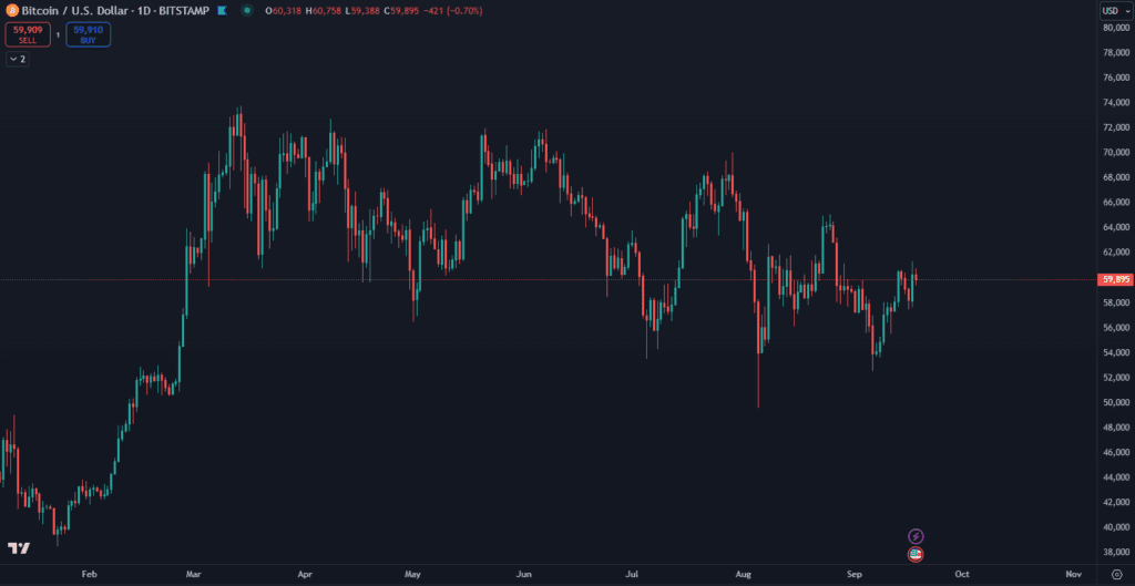 Pohyb Bitcoinu v roku 2024. Zdroj: TradingView